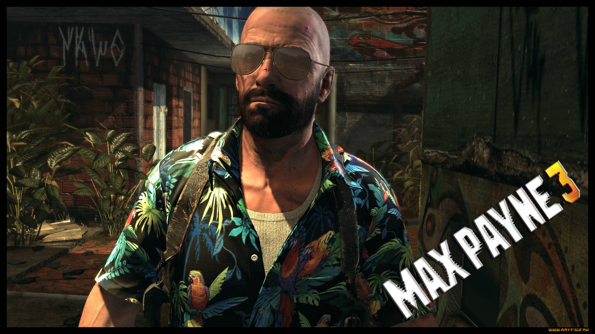  , max payne 3, 